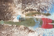 牛8体育_成凤破浪，凤凰战队问鼎首届英雄联盟手游职业联赛冠军