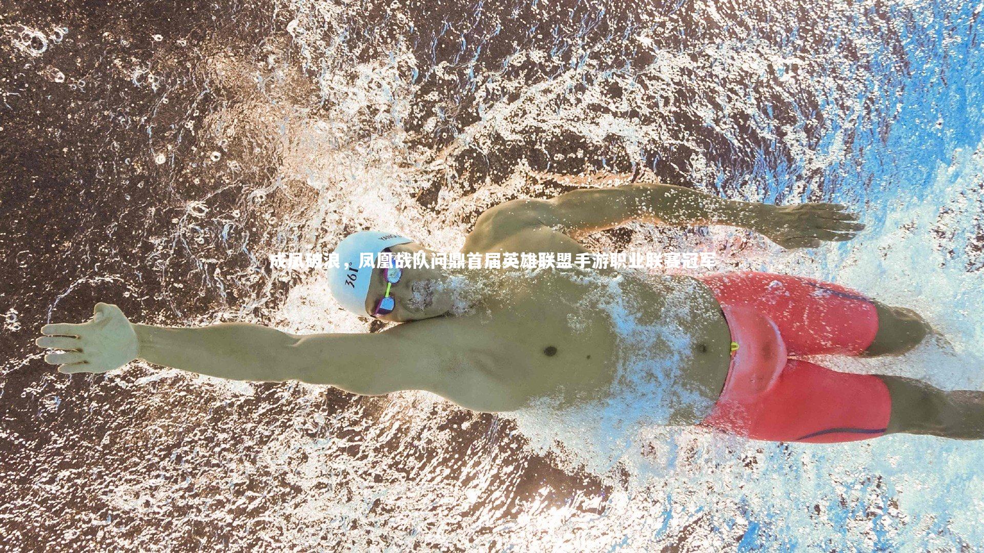 成凤破浪,凤凰战队问鼎首届英雄联盟手游职业联赛冠军